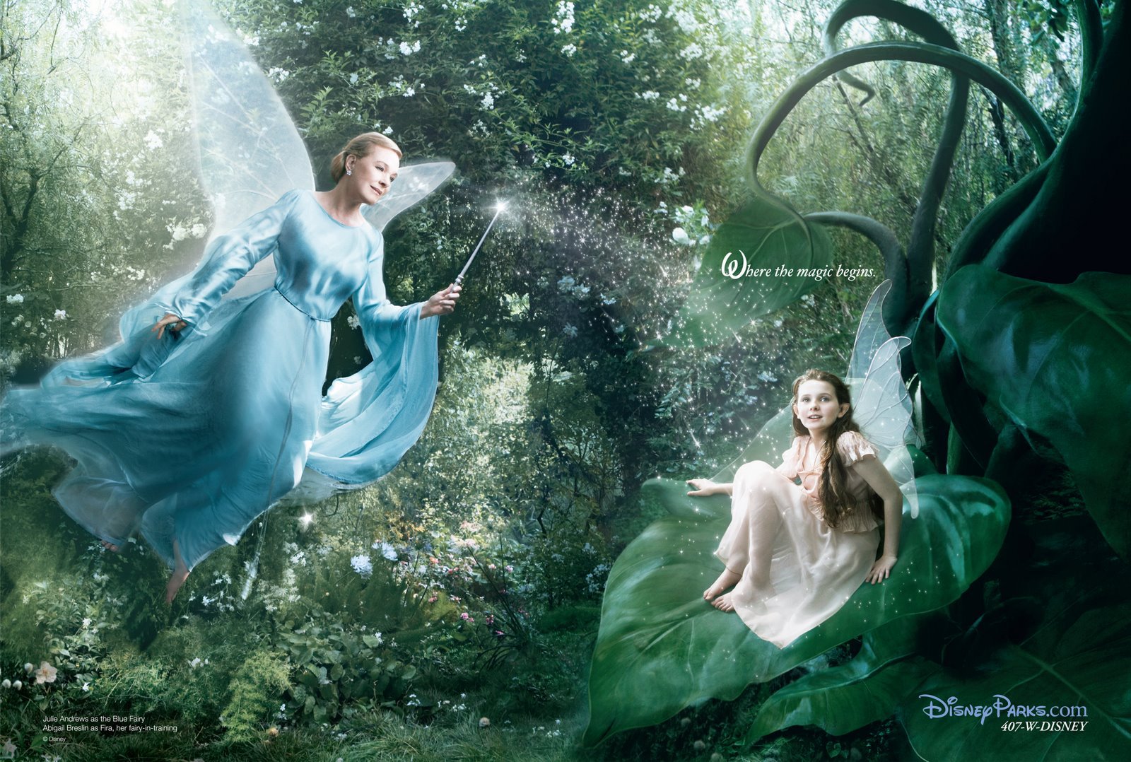 ピノキオ Where the magic begins.の画像01