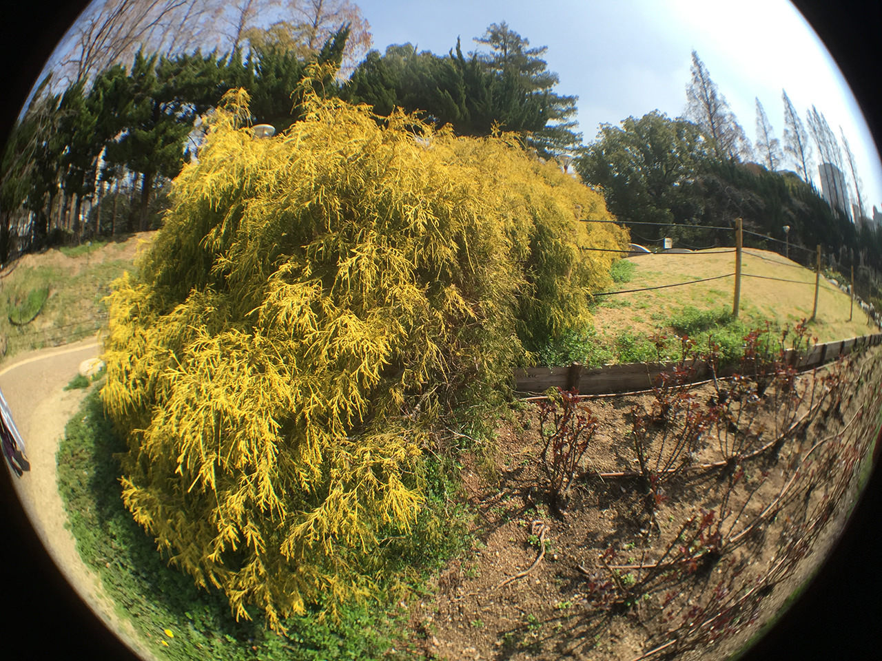 iPhone 6 Plusで使える交換式レンズ、olloclip 4-IN-1 PHOTO LENSを買ったから紹介してみる!の画像10
