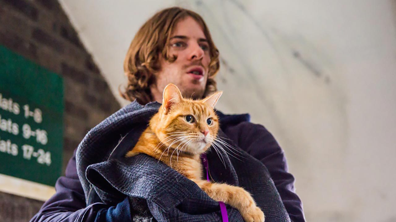 映画『ボブという名の猫 幸せのハイタッチ』は、猫のモフモフも物語もすごく良かった!の画像05